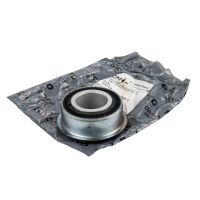 Cespuglio silenzioso