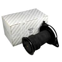 Soffietto Sospensione pneumatica Molla posteriore