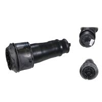 Soffietto Sospensione pneumatica Molla posteriore