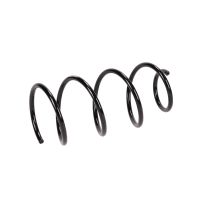 Molla di sospensione posteriore