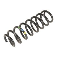 Molla della sospensione posteriore