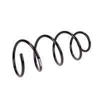 Molla di sospensione anteriore