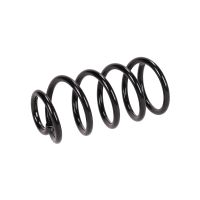 Molla di sospensione posteriore