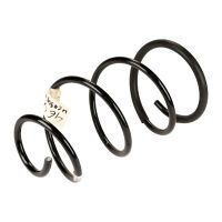 Molla di sospensione davanti