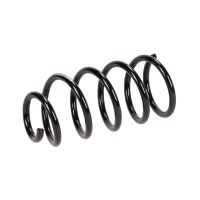 Molla di sospensione posteriore