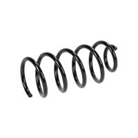 Molla di sospensione posteriore