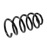 Molla di sospensione posteriore