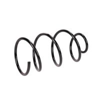 Molla di sospensione anteriore