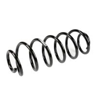 Molla di sospensione posteriore