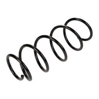 Fahrwerksfeder vorne