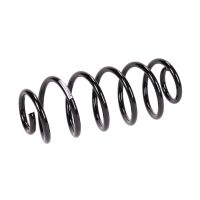 Molla di sospensione posteriore