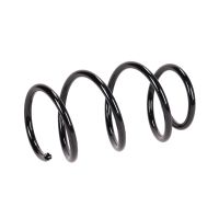 Molla di sospensione anteriore