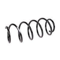 Molla di sospensione anteriore