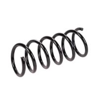 Molla di sospensione posteriore