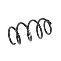 Molla di sospensione anteriore