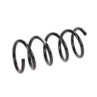 Molla di sospensione posteriore