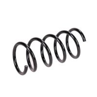 Molla di sospensione posteriore