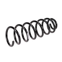 Molla di sospensione posteriore rinforzata