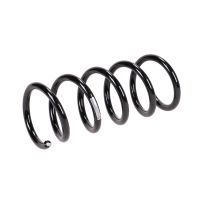 Molla di sospensione posteriore