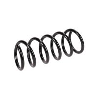 Molla di sospensione posteriore