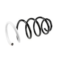 Molla di sospensione anteriore