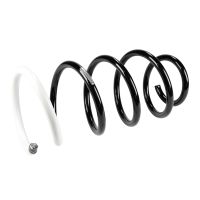 Molla di sospensione anteriore