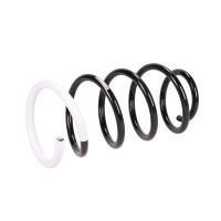 Molla di sospensione anteriore