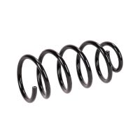 Molla di sospensione posteriore