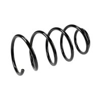 Molla di sospensione posteriore