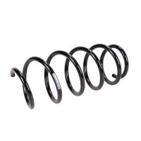 Molla di sospensione anteriore