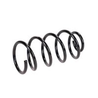 Molla di sospensione posteriore