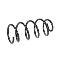 Molla di sospensione posteriore