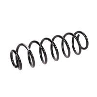 Molla di sospensione posteriore