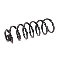 Molla di sospensione posteriore