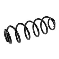 Molla di sospensione posteriore