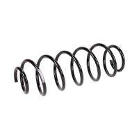 Molla di sospensione posteriore