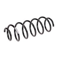 Molla di sospensione posteriore