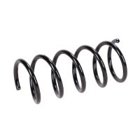 Molla di sospensione posteriore