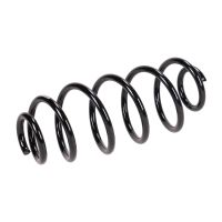 Molla di sospensione posteriore