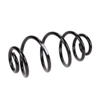 Molla di sospensione posteriore