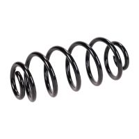 Molla di sospensione posteriore