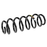 Molla a spirale posteriore