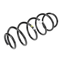 Molla a spirale anteriore