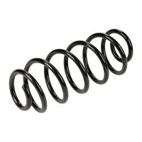 Molla a spirale posteriore