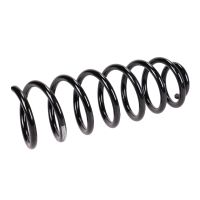 Molla di sospensione posteriore