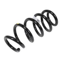 Molla elicoidale posteriore