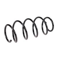 Molla di sospensione anteriore