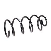 Molla di sospensione posteriore