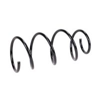 Molla di sospensione posteriore