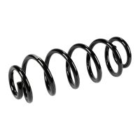 Molla di sospensione posteriore